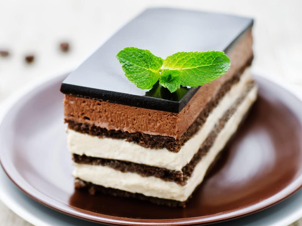 Opera cake on a light brown background. tinting. selective focus