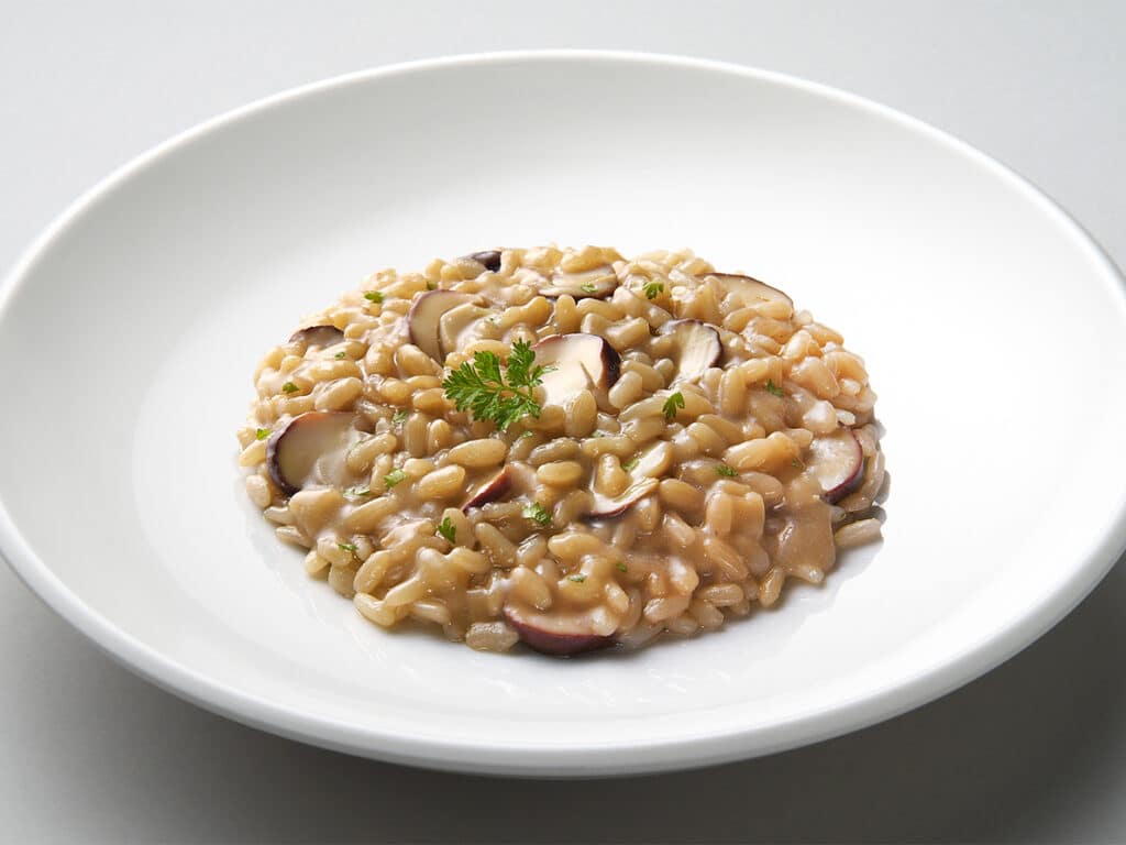 Dish of risotto with porcini mushrooms isolated on grey plane
